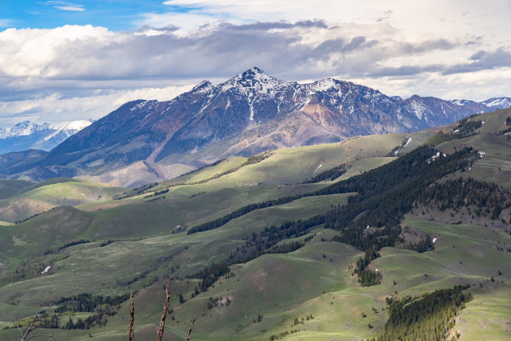 ‘Gamble for Montana's future:' Report says transferring federal lands to state would cost billions