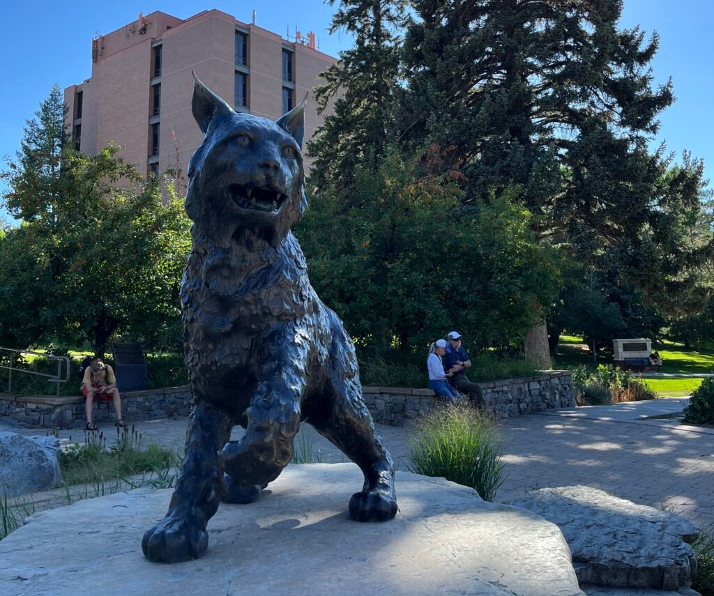 Federal judge grants preliminary injunction protecting MSU students' visa status