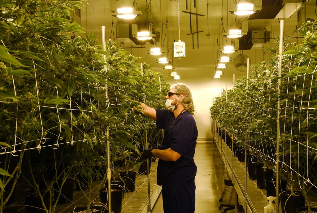 Bill to reallocate marijuana tax revenue clears Senate vote