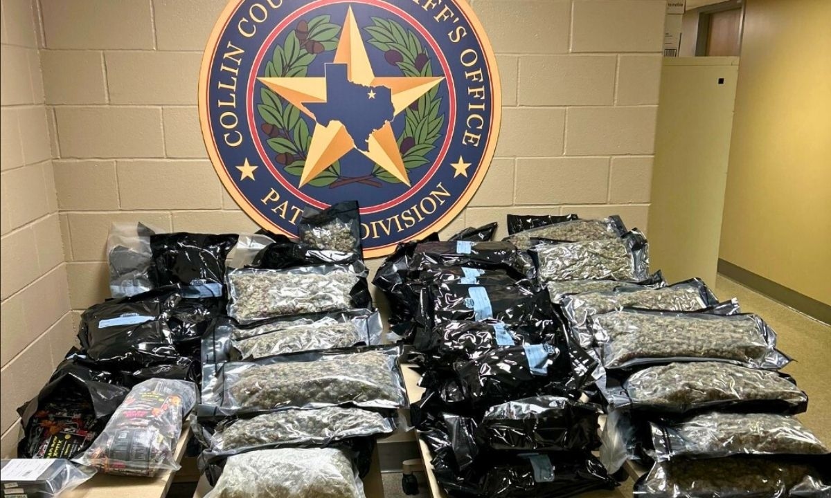 Collin County Sheriff's Office Nets Major Drug Busts, Including Years-Long Operation