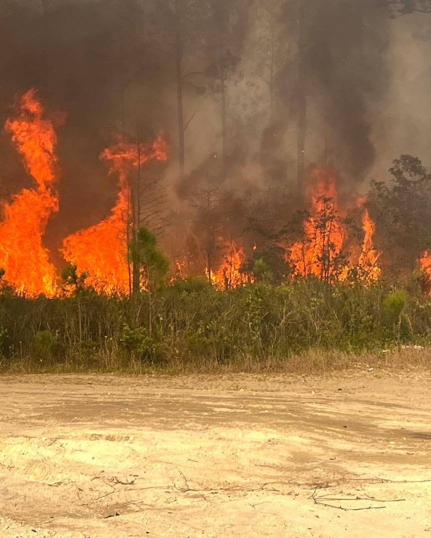 Flagler County enacts burn ban as dry conditions, low rainfall totals persist