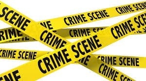 Palm Coast man hiding in attic crashes through ceiling in K-9 closes in