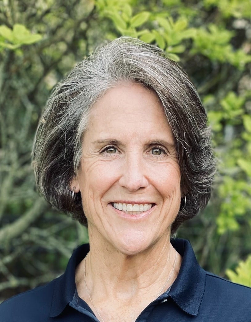 Rehoboth Beach voters elect Stewart and Galanty as 2 newest commissioners