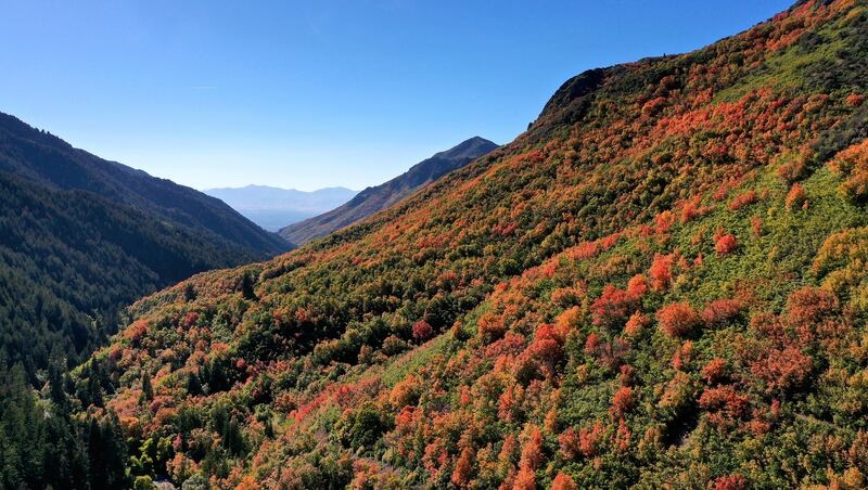 Opinion: Now's the time to fight for your public lands