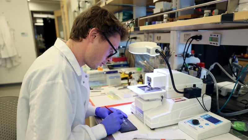 Opinion: Science is Utah's quiet engine — don't stall it with cuts to important funding
