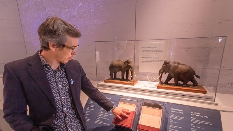 New Utah exhibit offers unique prospective on mammoth, other aspects of the ice age