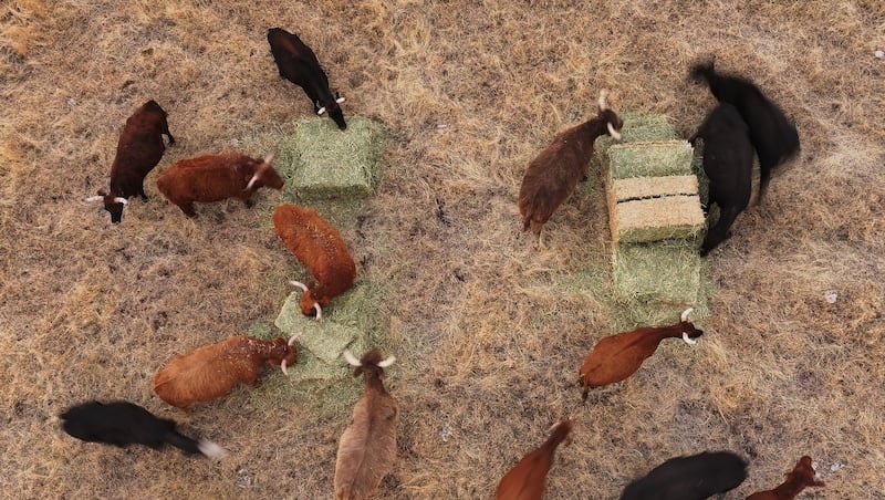 Utah: Up to $2 million in drought relief for farmers