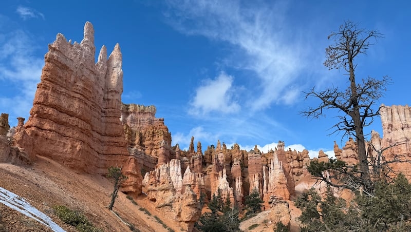 Utah Rep. Maloy proposes way to honor the nation's 250th birthday