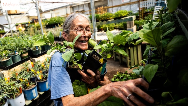 How a love of gardening can boost positive vibes in your life