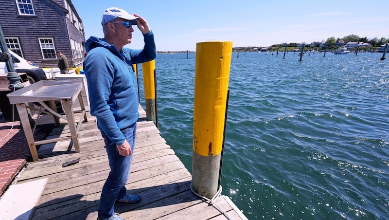 This swimmer aims to change the perception of sharks ‘Jaws' created 50 years ago