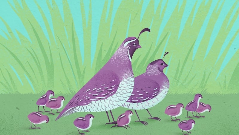Why declining trust is everyone's problem