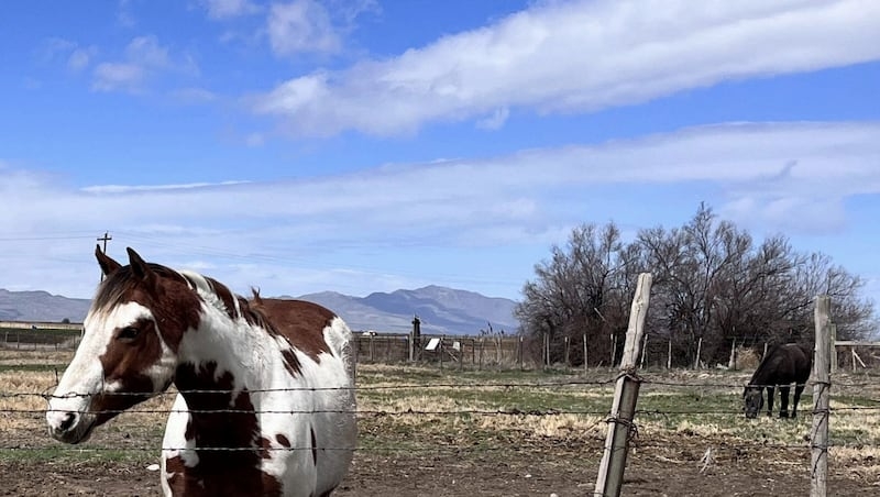 Salt Lake City close to annexing more land after hitting unexpected snag