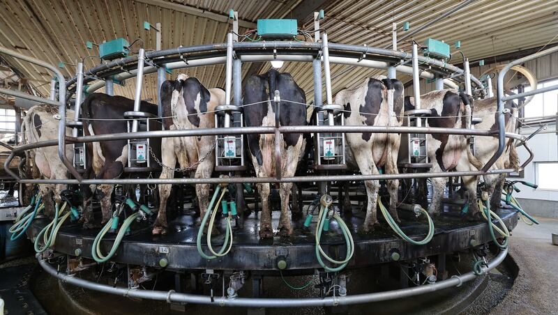 Sen. Mike Lee proposes new protections for farmers