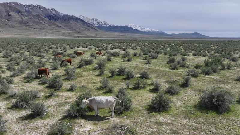 Mike Lee pulls public lands sale from Trump tax bill