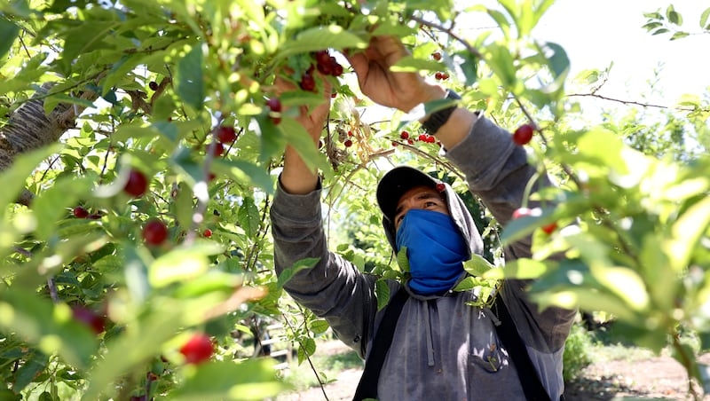 Why Utah businesses lobbied against expanded immigration verification for employees