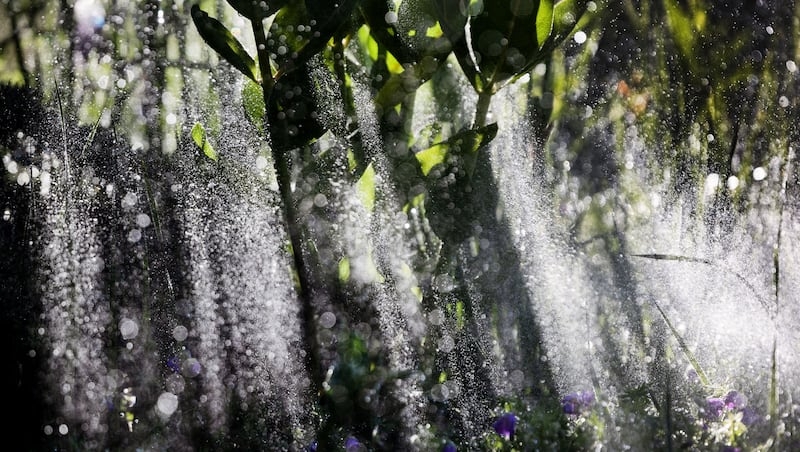 Why should you wait to water your lawn, according to these Utah experts