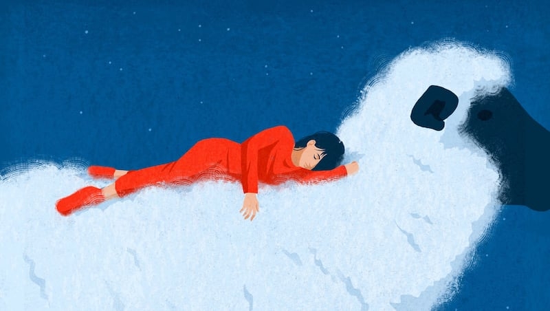 Among youths, are night owls more impulsive than morning larks?