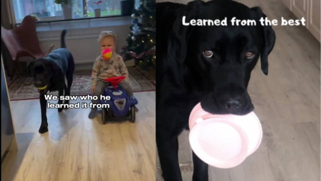 Video of Baby Learning a Dog-Like Habit From His Pet Melts Hearts