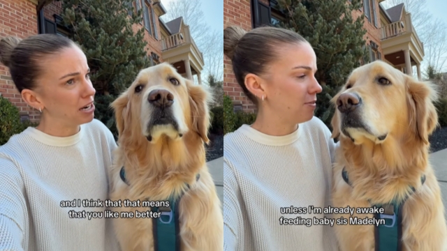 Video: Dog Owner Details What Happens at Pup's ‘Sock Party'