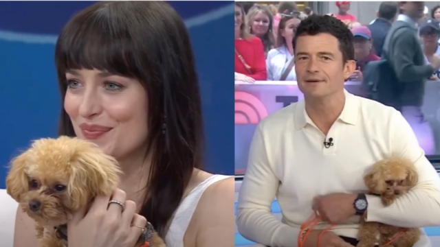 Dakota Johnson Is ‘Babysitter' To Orlando Bloom's Dog