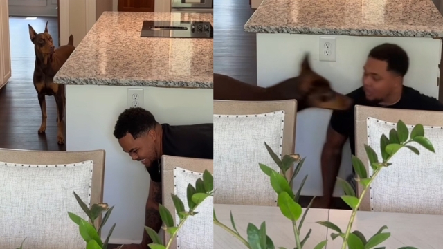 Owner Tries To Hide From His Dog in Viral Video & the Results Are Hilarious