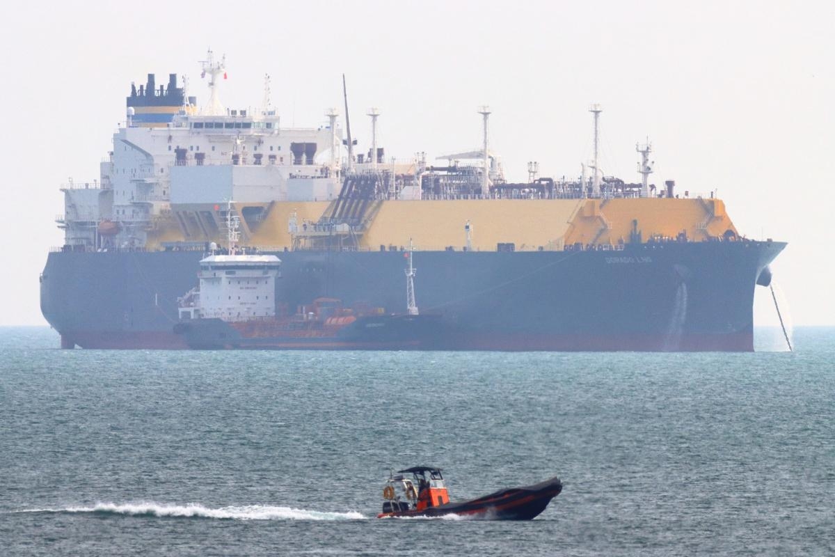 In The Bay - here's what's been spotted off the Weymouth coast