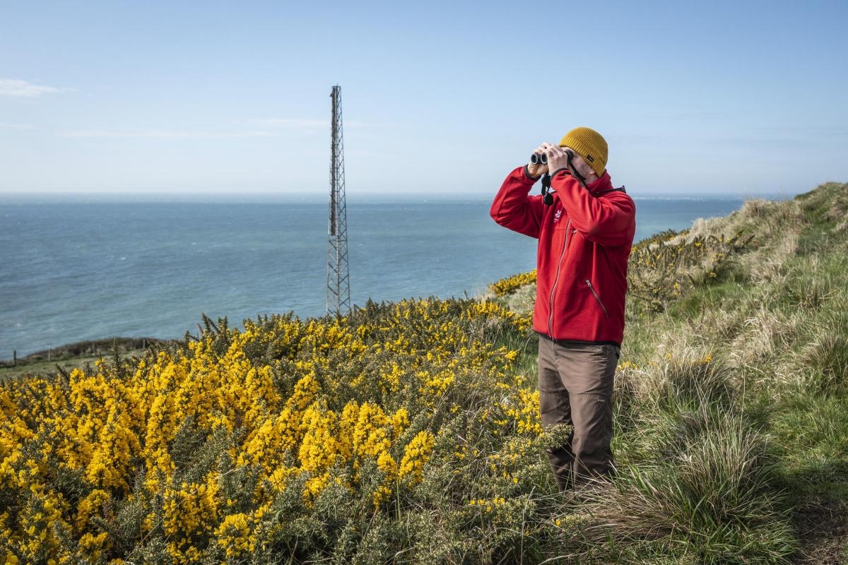 National Trust acquires major stretch of Dorset coastline