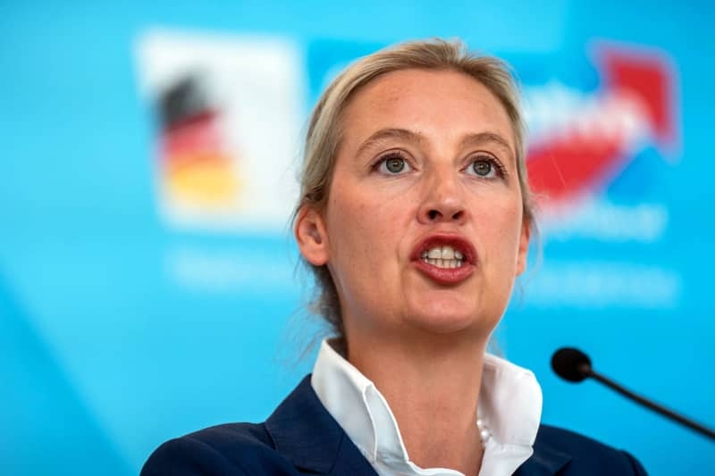 German far-right leader Weidel says Orbán is 'beacon of freedom'