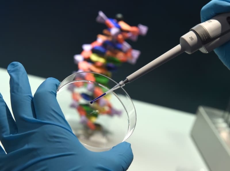 Delete personal 23andMe data, privacy experts urge users