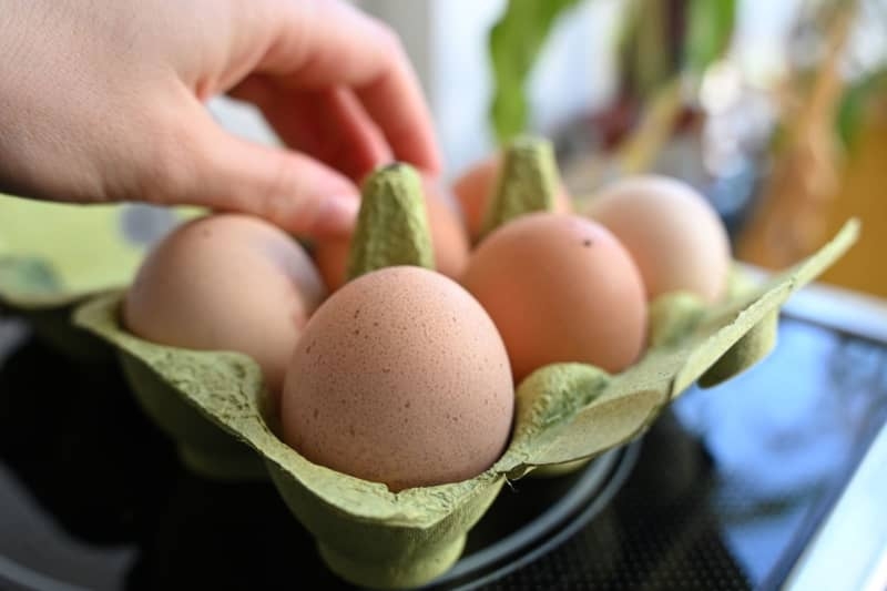 Egg Drop Challenge: Physicists surprise in finding on how eggs break
