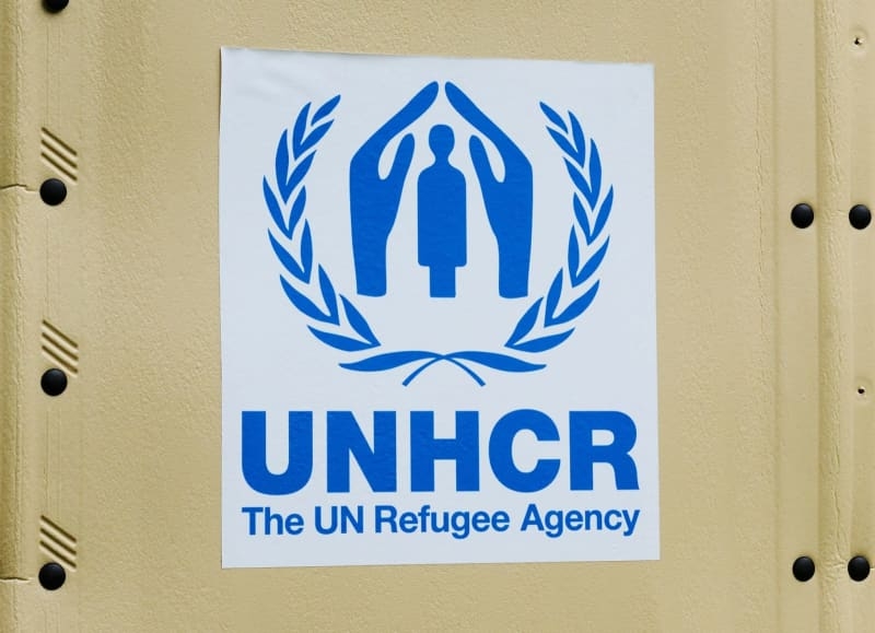 UN refugee agency suspends almost all medical aid in Egypt