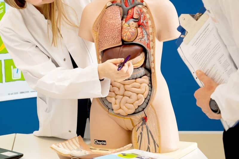 Fatty liver disease: Preventative diet and some easy lifestyle tips