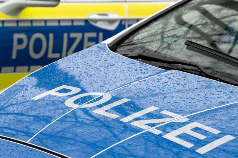 German police raid Georgian criminal gang at sites across the country