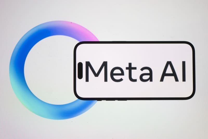 Meta can use public content to train AI software, German court rules