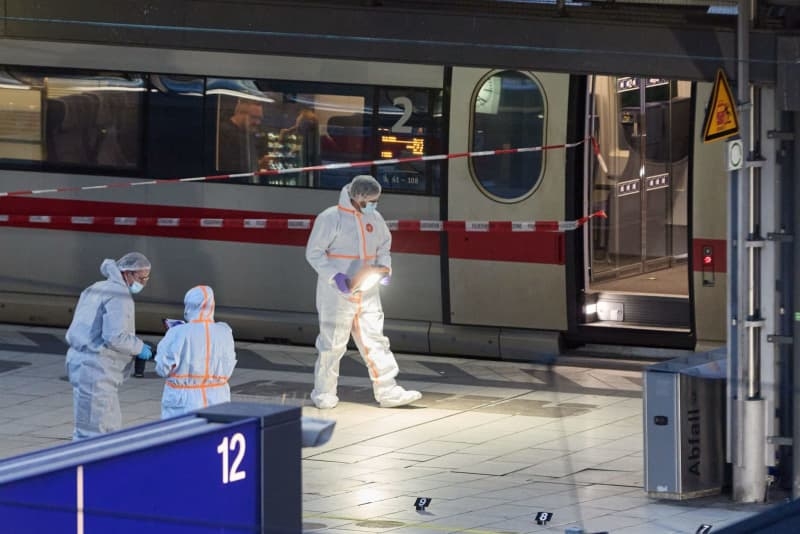 Suspect released from psychiatric care one day before Hamburg attack