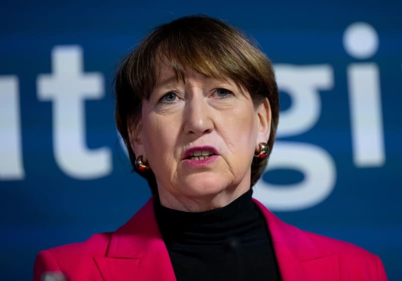 German car industry faces 'massive burden' as US tariffs take effect