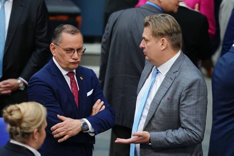Germany's far-right AfD divided over Trump tariff policies