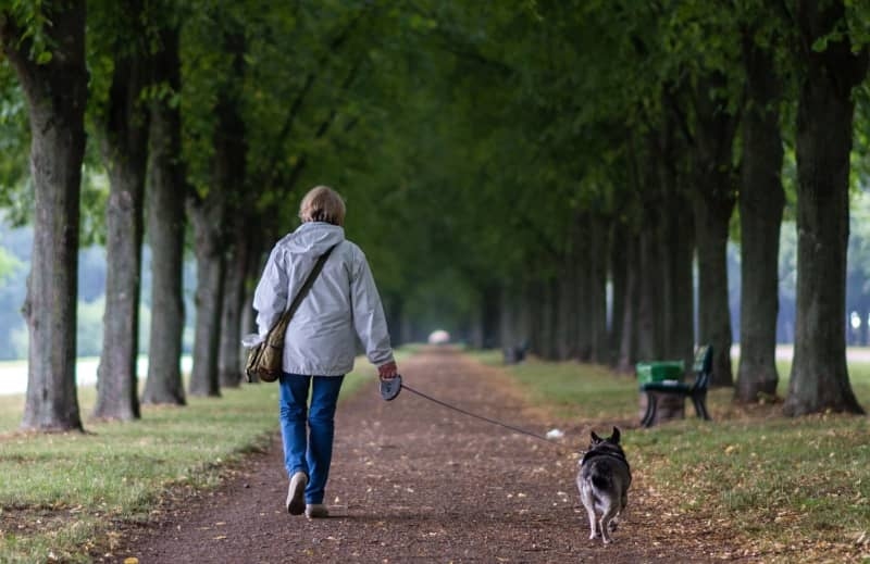 Why walking your dog on a long leash can help you avoid back pain