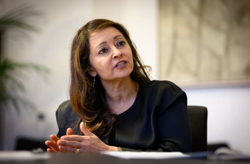 Berlin justice minister: Debate on banning far-right AfD premature