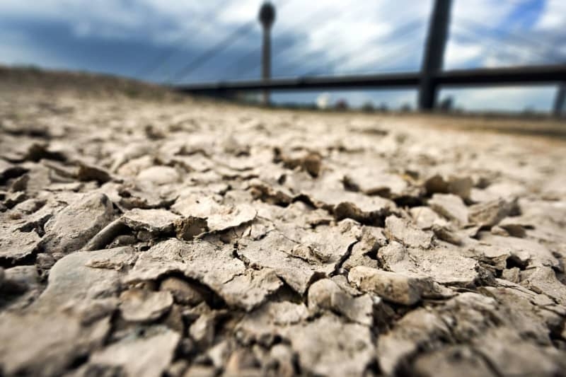 World sees second-warmest May on record