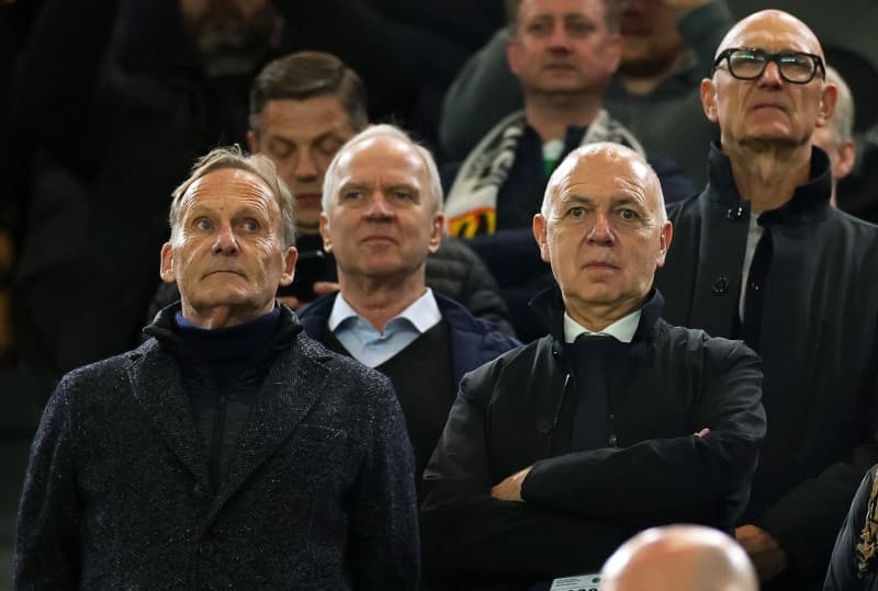 Departing CEO Watzke to face challenge for Dortmund presidency
