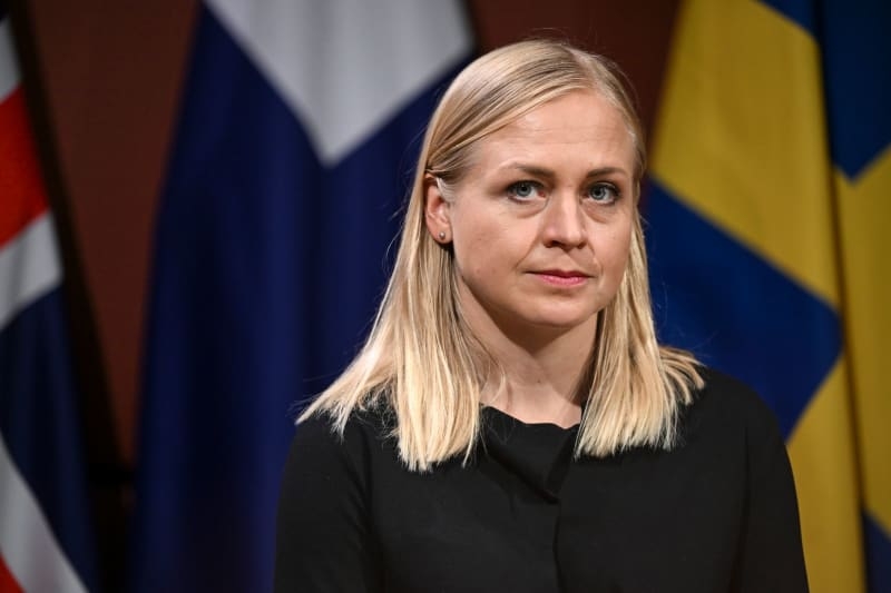Finnish foreign minister: Peace deal with Russia remains far off
