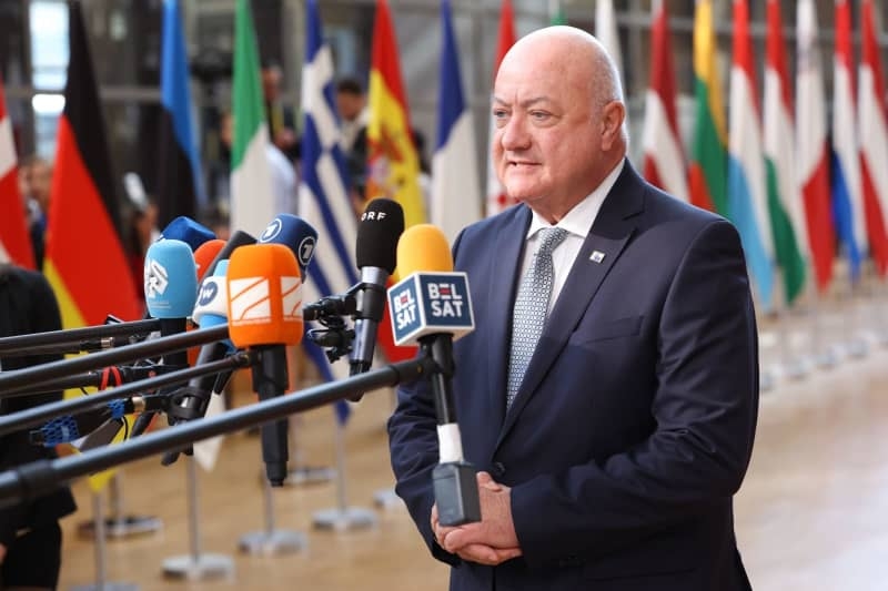 'Shared border also means shared responsibility,' Austria tells Merz
