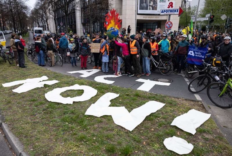 Weak turnout for Fridays for Future climate demos in Germany