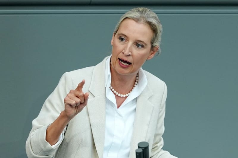 Germany's far-right AfD lashes out at 'second choice' chancellor