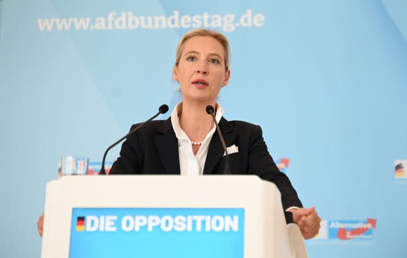 Germany's far-right AfD tells lawmaker to delete Islamophobic post
