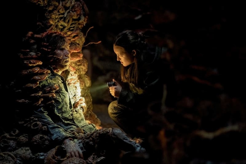 'Last of Us' in real life? Deadly fungi are becoming drug resistant