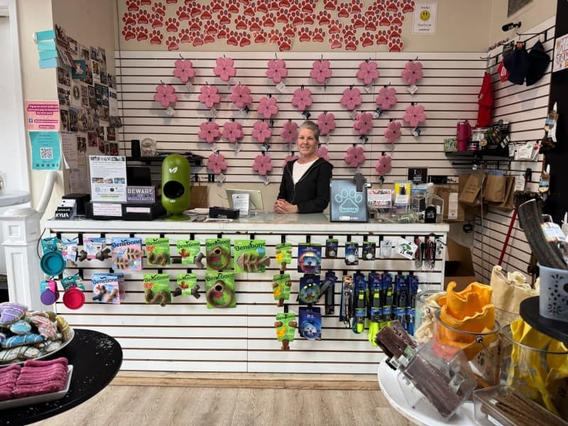 US pet stores and main street shops caught in trade war crossfire