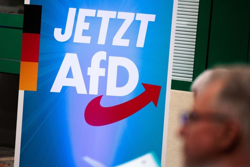 Ban on Germany's far-right AfD could backfire, top conservative warns