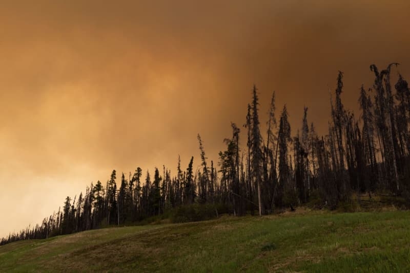 Fires continue to rage out of control across large parts of Canada